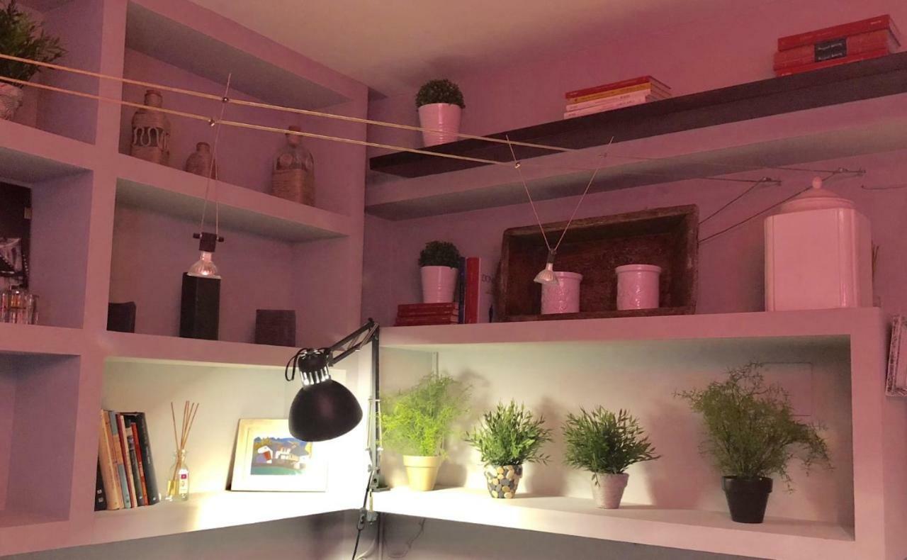 Apartamento San Quirce - Centrico Y Reformado- Wifi Y Netflix Вальядолид Экстерьер фото